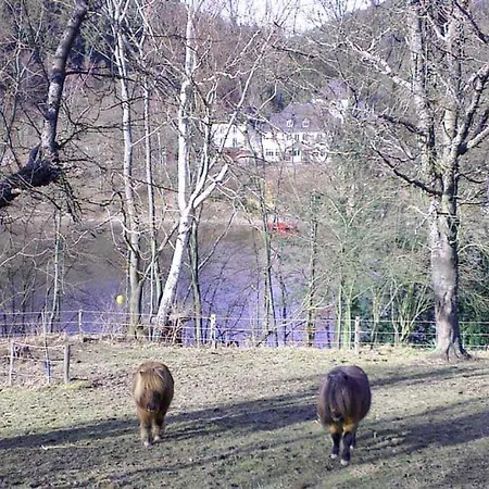 Hohenwarter Seehof Collection Lodge Altenbeuthen