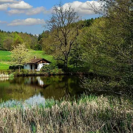 Hohenwarter Seehof Collection *